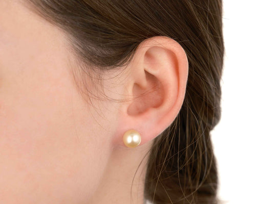 South Sea Champagne Pearl Earrings 9mm