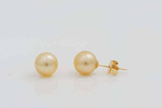 South Sea Champagne Pearl Earrings 8mm